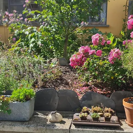 Hunsrueck- Auszeit * Hottenbach